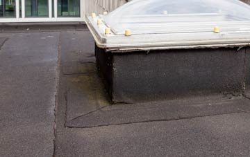 disadvantages of Dunan flat roofs