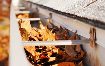 Dunan gutter cleaning companies