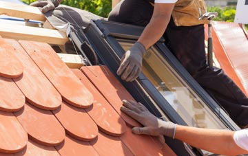 replacement Dunan roof windows