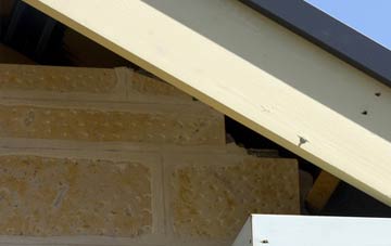 soffit repair Dunan