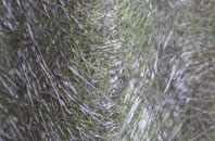Dunan fibreglass roof work