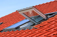 Dunan roof window